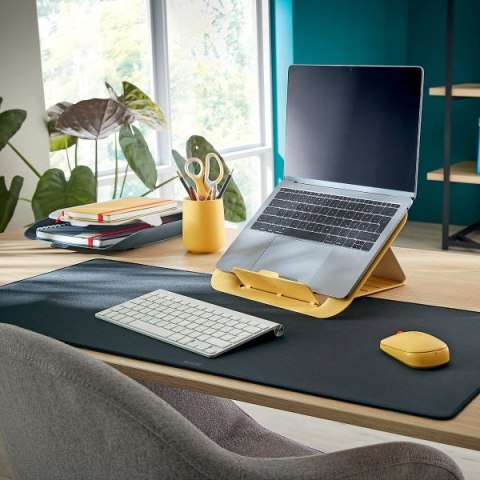 Mysz Cosy szary Leitz (65310089)