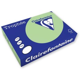 Papier kolorowy Trophee kolorowy A3 zielony 80g [mm:] 297x420 (xca31891)