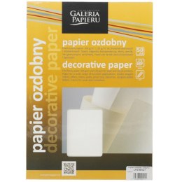 Papier ozdobny (wizytówkowy) Galeria Papieru laid biały A4 biały 120g (206001)