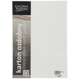 Papier ozdobny (wizytówkowy) Galeria Papieru pacific biały A4 biały 200g (204001)