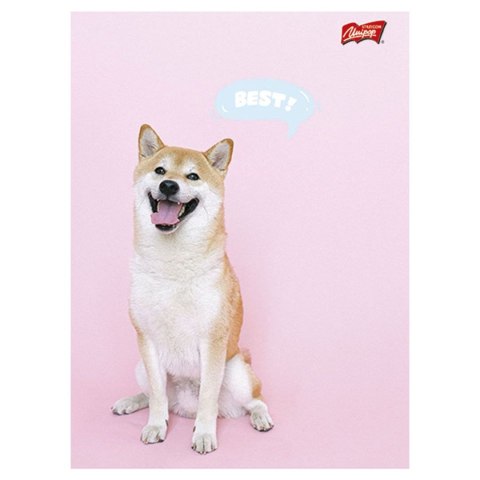 Zeszyt A5 Mix 32k. linia [mm:] 148x210 Unipap