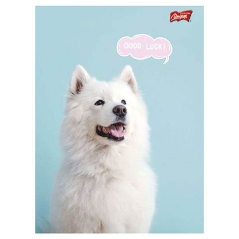 Zeszyt A5 Mix 32k. linia [mm:] 148x210 Unipap