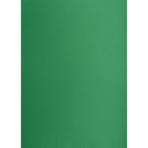 Brystol zielony ciemny B2 zielony 225g 25k Oxford (400150339)