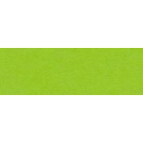 Papier kolorowy A4 Joy zielony jasny 160g Happy Color (2130-50)