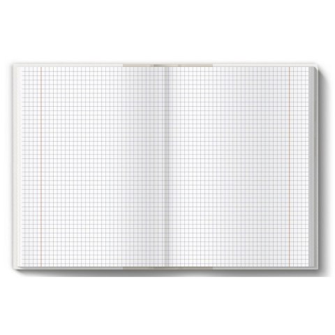 Brulion tematyczny A5 fizyka 80k. 70g krata [mm:] 150x210 TOP-2000 (400160623)