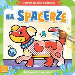 Książeczka edukacyjna Aksjomat Czarodziejski pędzelek. Na spacerze. Malowanka wodna