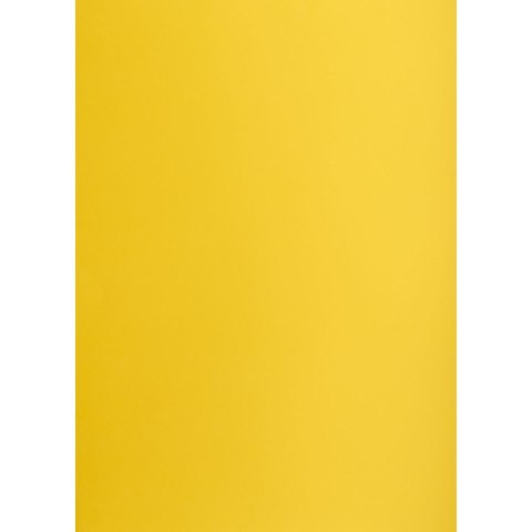 Brystol żółty ciemny B2 żółty Creatinio (400150326)