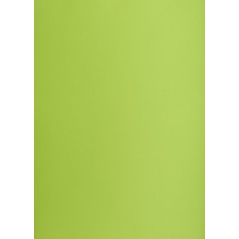 Brystol zielony jasny B2 zielony Creatinio (400150337)