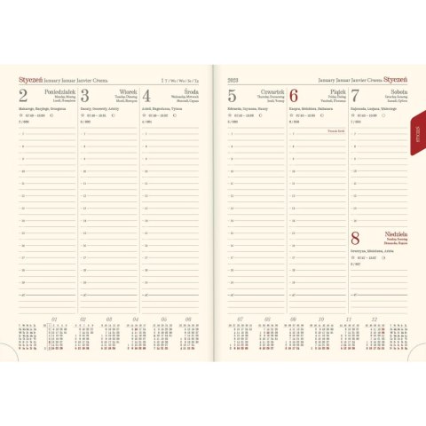 Kalendarz książkowy (terminarz) Vivella terminarz B5 Lucrum (51T-V)