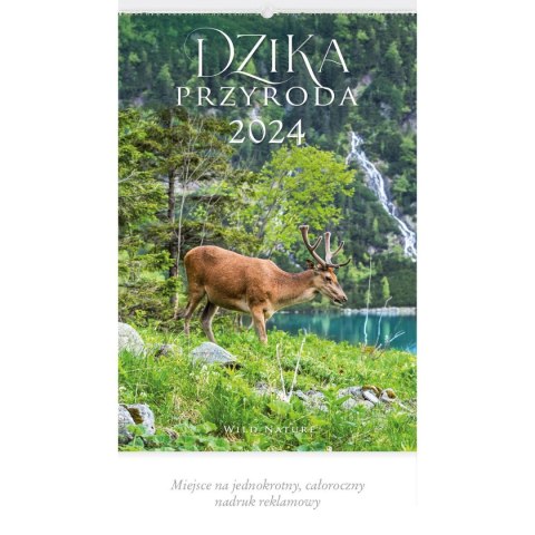 Kalendarz ścienny DZIKA PRZYRODA 13-planszowe 2024 320mm x 470mm Lucrum (RW03)