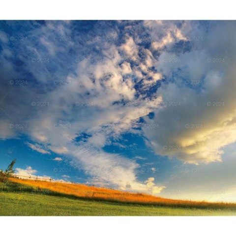 Kalendarz ścienny MAGICZNA POLSKA 13-planszowe 2024 320mm x 470mm Lucrum (RW02)