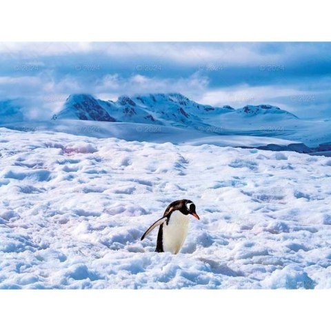 Kalendarz ścienny PODRÓŻE PO KONTYNENTACH 13-planszowe 2024 320mm x 470mm Lucrum (RW09)