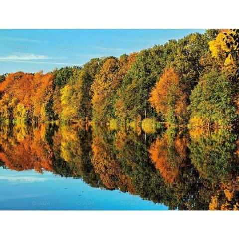 Kalendarz ścienny LASY POLSKIE 13-planszowe 2024 320mm x 470mm Lucrum (RW04)