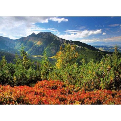 Kalendarz ścienny PEJZAŻE TATRZAŃSKIE 13-planszowe 2024 320mm x 470mm Lucrum (RW05)