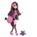 Lalka Mattel Monster High podstawowa (HPD53)