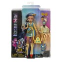 Lalka Mattel Monster High podstawowa (HPD53)