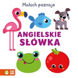 Książeczka edukacyjna Zielona Sowa Przeciwieństwa Maluch poznaje.