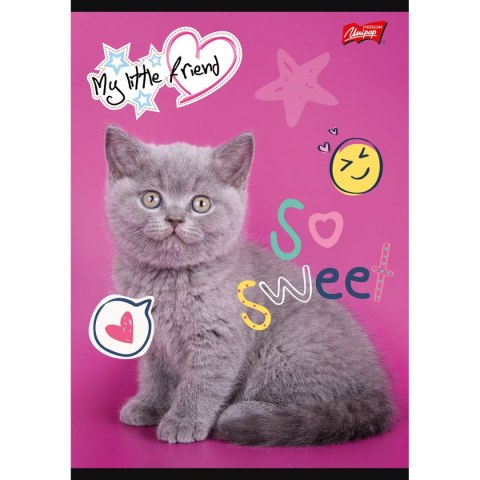 Zeszyt A5 MY LITTLE FRIEND 32k. krata Unipap
