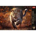 Puzzle Trefl Premium Plus Dziki Leopard 1000 el. (10818)