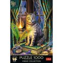 Puzzle Trefl Magic Collection Premium Plus Księga Cieni 1000 el. (10899)