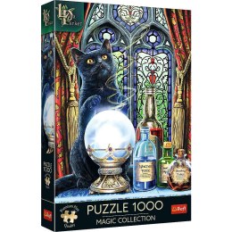 Puzzle Trefl Magic Collection Premium Plus Uczeń czarownicy 1000 el. (10898)