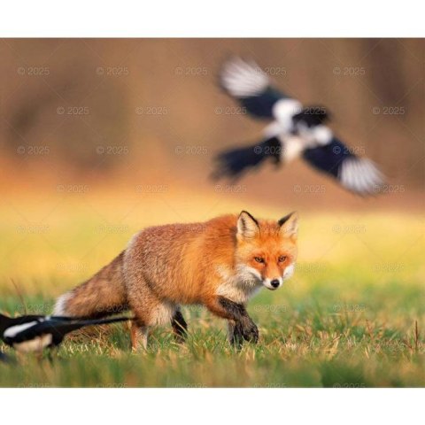 Kalendarz ścienny DZIKA PRZYRODA WIELOPLANSZOWY 12K 320mm x 470mm Lucrum (RW7)