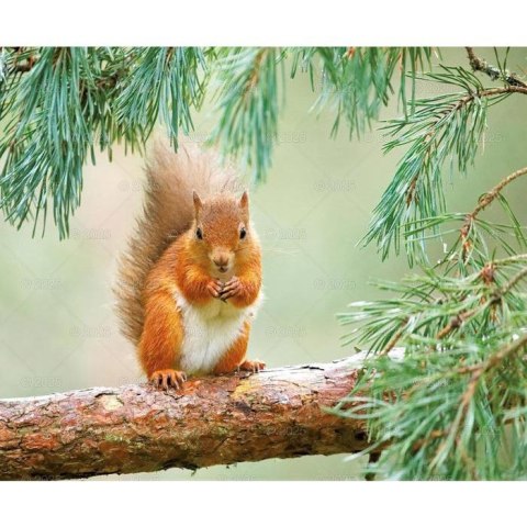 Kalendarz ścienny DZIKA PRZYRODA WIELOPLANSZOWY 12K 320mm x 470mm Lucrum (RW7)