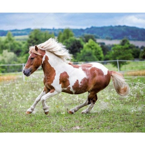 Kalendarz ścienny KONIE W OBIEKTYWIE WIELOPLANSZOWY 12K 320mm x 470mm Lucrum (RW15)