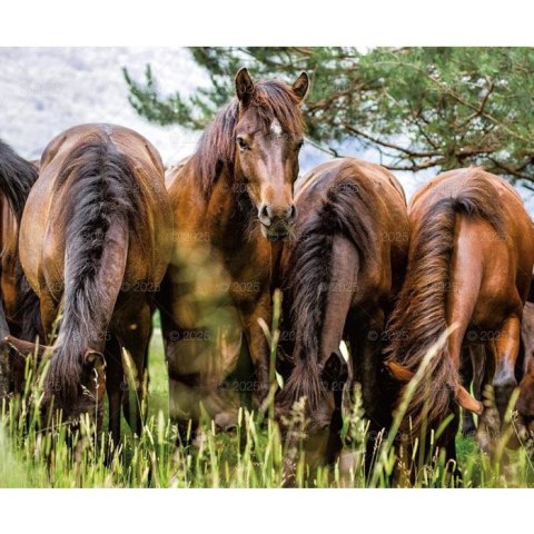 Kalendarz ścienny KONIE W OBIEKTYWIE WIELOPLANSZOWY 12K 320mm x 470mm Lucrum (RW15)