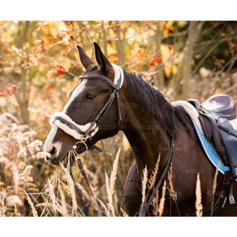 Kalendarz ścienny KONIE W OBIEKTYWIE WIELOPLANSZOWY 12K 320mm x 470mm Lucrum (RW15)