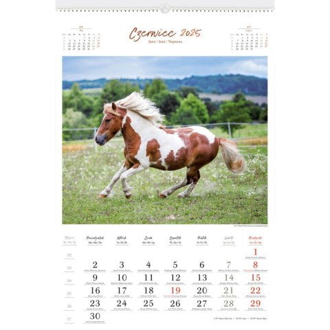 Kalendarz ścienny KONIE W OBIEKTYWIE WIELOPLANSZOWY 12K 320mm x 470mm Lucrum (RW15)