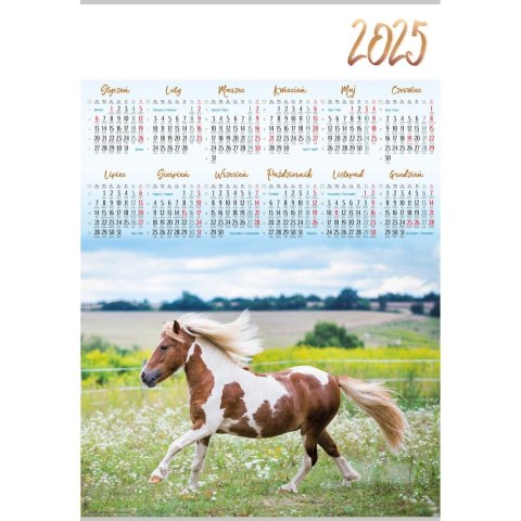 Kalendarz ścienny KOŃ plakatowy 607mm x 880mm Lucrum (PL12)