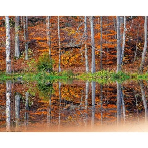 Kalendarz ścienny WEDRÓWKI PO POLSCE WIELOPLANSZOWY 12K 320mm x 470mm Lucrum (RW4)