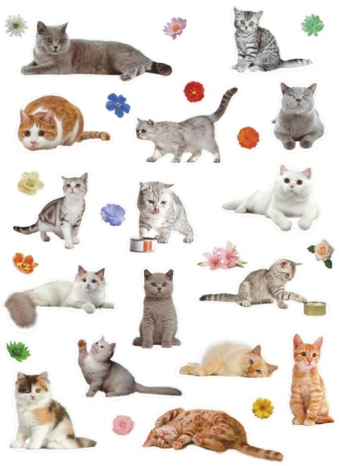 Naklejka (nalepka) Craft-Fun Series Koty Titanum