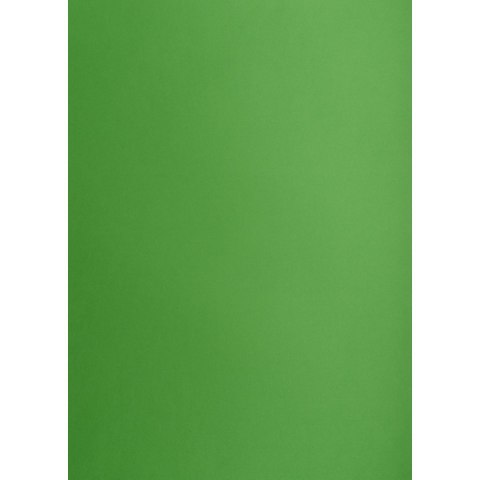Brystol A3 zielony 160g 25k [mm:] 297x420 TOP-2000 (400150241)