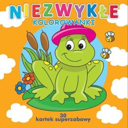 Kolorowanka Niezwykłe kolorowanki