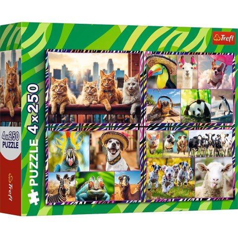 Puzzle zwierzaki 4x250 el. Trefl (13313)
