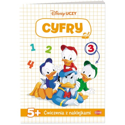 Książka dla dzieci Miki Ameet