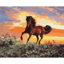 Zestaw kreatywny Malowanie Po Numerach 40x50 cm Koń Brushme (BR-BS6943)