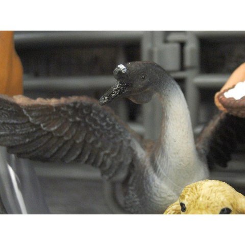 Zestaw farma farma Adar (3/474420)