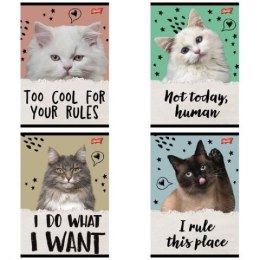 Zeszyt A5 Caturday 32k. 70g krata Unipap