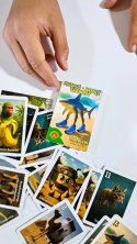 Karty Tralalero Tralala Alexander 25 sztuk