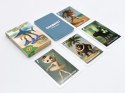 Karty Tralalero Tralala Alexander 25 sztuk