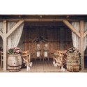 Gadżet Łapacz snów - Piórka, złamana biel, 30x94cm Partydeco (LAPS1)
