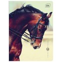Zeszyt A5 16k. 70g trzy linie Interdruk