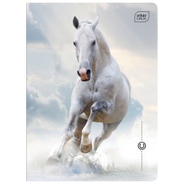 Zeszyt A5 WILD HORSES 32k. 70g krata Interdruk