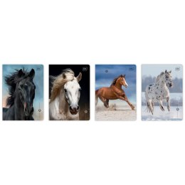 Zeszyt A5 WILD HORSES 16k. 70g linia kolor Interdruk