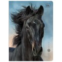 Zeszyt A5 WILD HORSES 16k. 70g linia kolor Interdruk