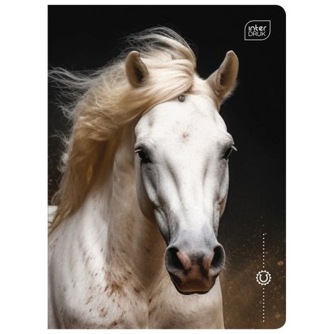Zeszyt A5 WILD HORSES 16k. 70g linia kolor Interdruk