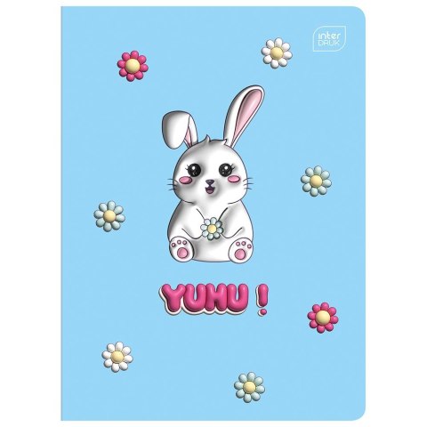Zeszyt A5 YUHU 16k. 70g linia kolor Interdruk